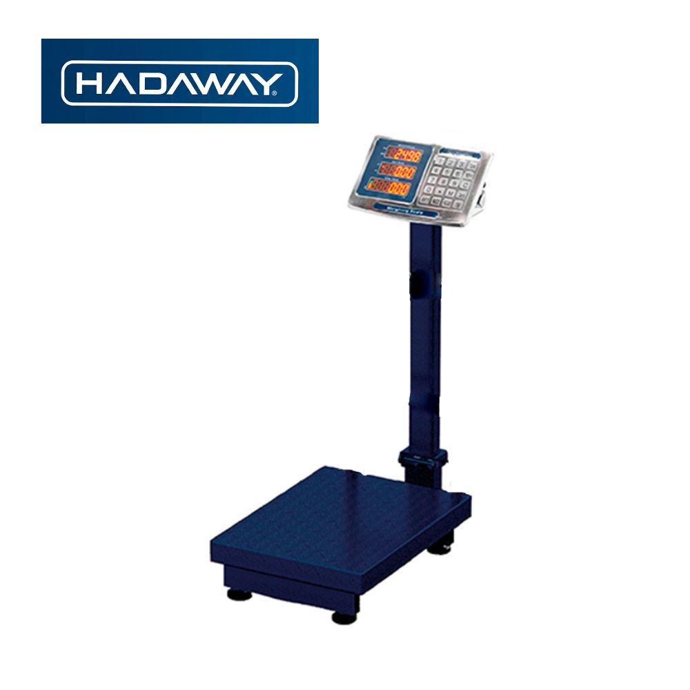BASCULA ELECTR. PISO CON BRAZO 300KG/LB BAG300-YJ / H-SDFPP-300KG