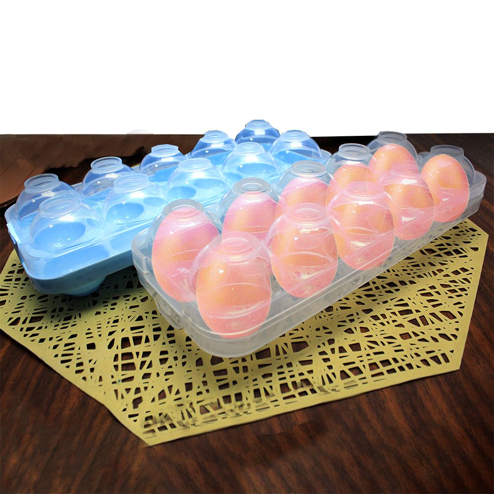DEPOSITO PLASTICO PARA HUEVOS CON TAPADERA 10 ESPACIOS 13674