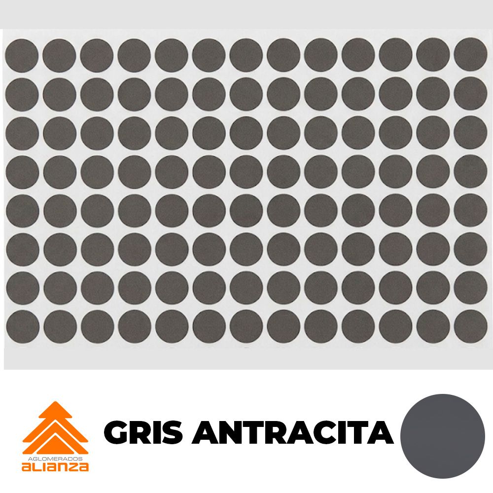 TAPATORNILLO CHAPIN GRIS ANTRACITA (96)