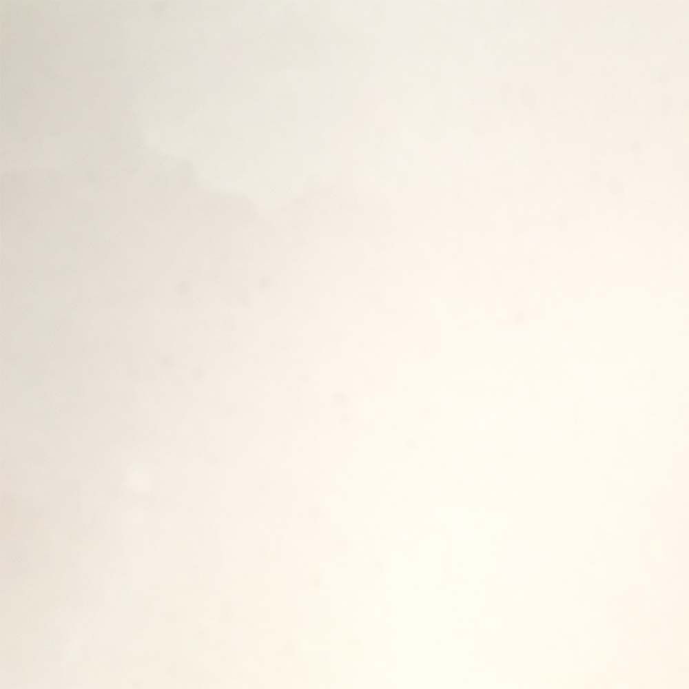 FORMICA BLANCO BRILLO (2009G)