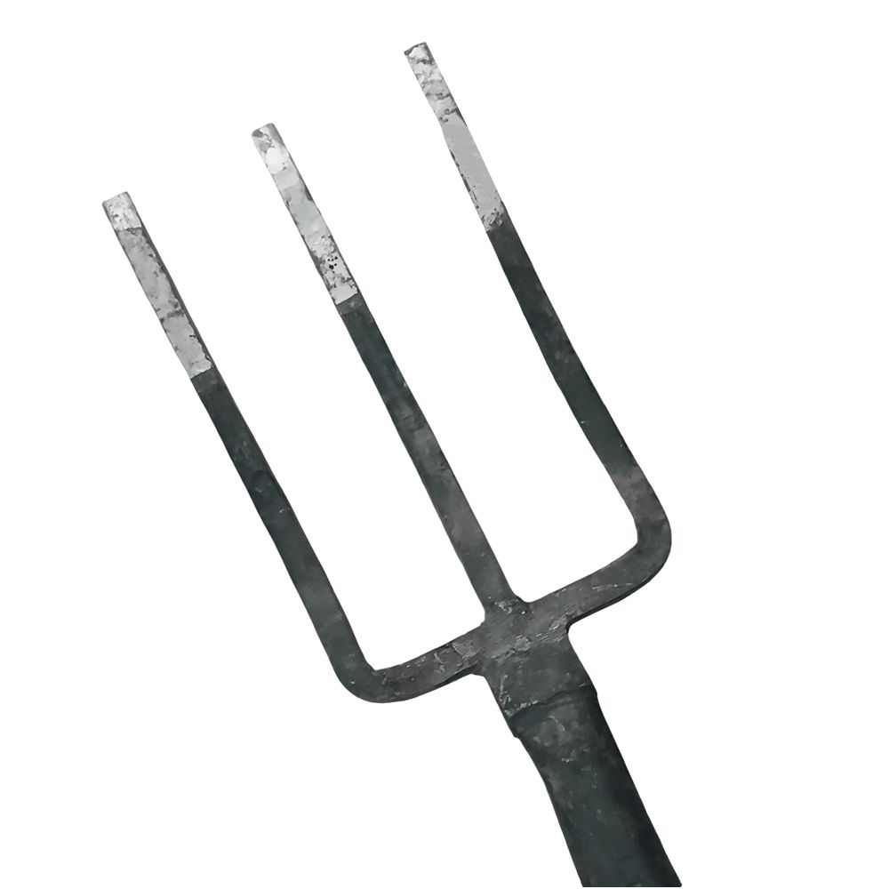 SUACHO SILERO 3 DIENTES (NC)