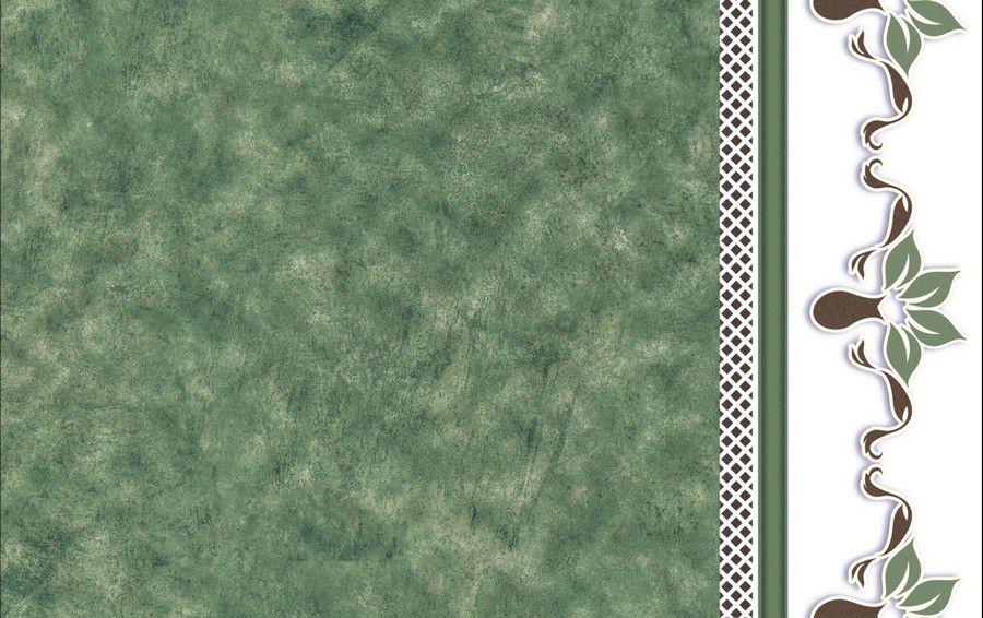 CERAMICA 722 VERDE LISTELO SEMI BRILLO 20X31.6 MT2 BRASILIA